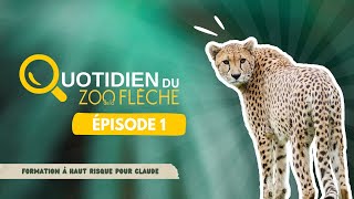 Formation à haut risque pour Claude  🐆 Épisode 1 [upl. by Gilburt]