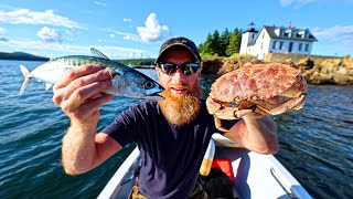 Ep1 Catch and Cooking WEIRD Sea Creatures  Mackerel Crab in MAINE ft Zach Fowler [upl. by Leak]