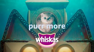 Curious kitten dives into delicious Whiskas® Junior [upl. by Ahsiad967]