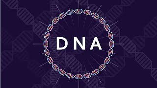 What is DNA and How Does it Work  Basics of DNA [upl. by Boff]