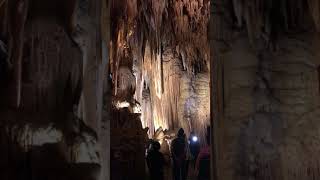 Luray Caverns Organ [upl. by Merrile]