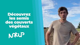 Rendezvous au champ avec Paul Delacour pour les CIPAN [upl. by Ajiat]