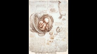 Overview of Paradigm Shifts in Embryology PSE  A Clinical and Embodied Embryology Course  Alaya [upl. by Airdnaxila]