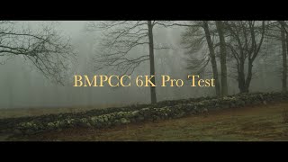 BMPCC 6K Pro Test Footage  50mm Canon EF Lens [upl. by Pirozzo]