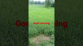 pahle se barish banke [upl. by Kepner]