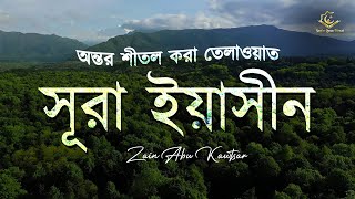 Heart Soothing Recitation of Sura Yaseen  সূরা ইয়াসীন سورة يس । Zain abu kautsar [upl. by Ihcelek]