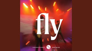 Fly feat David Vallier [upl. by Ahsaek]