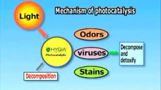 Mechanism Photocatalysis [upl. by Yalahs]