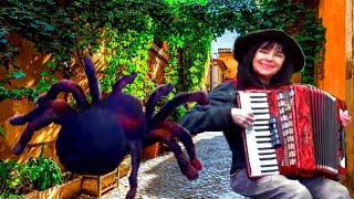 WIESIA PUSTE KOPERTY Grzyby i Pająki  accordion melodie biesiadne polkarhumba [upl. by Lipcombe]