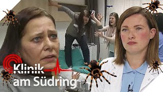 Sie sieht überall Spinnen 🕷 Frau mit Halluzinationen völlig panisch  Klinik am Südring  SAT1 [upl. by Akenahc]