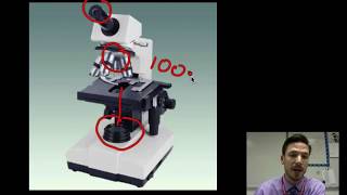 Setting up and Performing a Titration [upl. by Noraha]