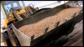 Pellet Manufacturing Process From Forest and Biomass Waste [upl. by Robby445]