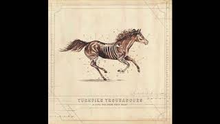 Turnpike Troubadours  Pay No Rent  A Long Way From Your Heart [upl. by Arada]