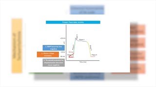 Antiarrhythmic drugs agents  Chapter 2 Tachyarrhythmias Made Easy [upl. by Revert]