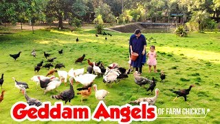 Harsha kumar Farm House Best Farm house in India Geddam Angels telugu Kids channel [upl. by Fred]