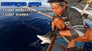 Kitang PALANGRE hunting for Giant grouper  catch and cook p1 [upl. by Junna]