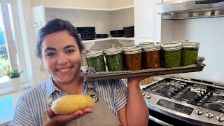 Making a Years Worth of Pesto Three Ways and Homemade Pasta [upl. by Navert329]