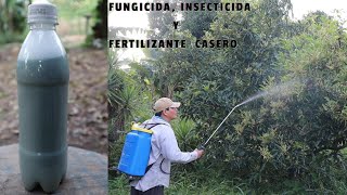 POTENTE Fungicida Insecticida y Fertilizante Casero Plantas Libre de Plagas y muy Hermosas [upl. by Faina96]