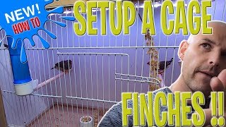 How to Setup a cage for FINCHES  FINCH care 2019  Breeding Birds [upl. by Hailahk]