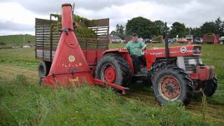 Real Grassmen Single Chop Forage Harvester silage World Record 2011 Dunmore Co Galway [upl. by Aynatal]