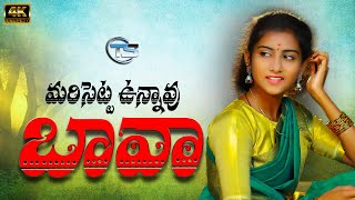 Marisetta Vunnavu Bava Song  New Folk Song  Premalatha  Praveen Bujji  TS FOLK [upl. by Patty]