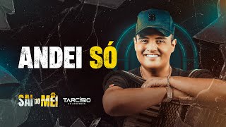 ANDEI SÓ  Tarcísio do Acordeon CD Sai do Mêi [upl. by Enirolf]