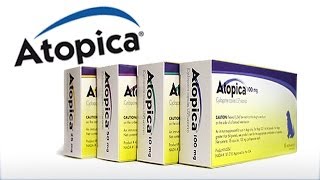 Atopica for Dogs amp Cats Atopica Dermatitis [upl. by Natsreik]