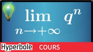 limite de suite géométrique  comprendre le cours et exemple  terminale S Maths [upl. by Ecienal]