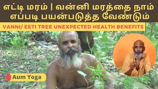 எட்டி மரம்  வன்னி மரம்  strychnine tree  nux vomica homeopathyKhejri treeUnbelievable Benefits [upl. by Orimlede871]