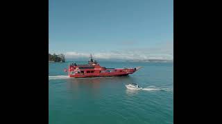 SeaLink  Your vital link to Hauraki Gulf😍 sealinknz waiheke ferry greatbarrierisland [upl. by Diarmit]