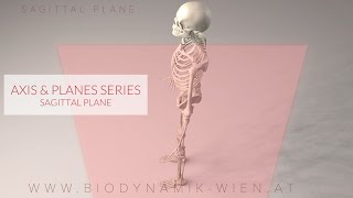 Axes amp Planes Series Part 3 Sagittal Plane 3D Animation [upl. by Akihc]