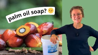 Should I use palm oil in soap making 🤔 [upl. by Belcher89]