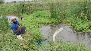 Patan Fish CatchingWallago FishingBaam FishingCatching The 3 Types Of Fishes In Small Hook Gal [upl. by Accebar]