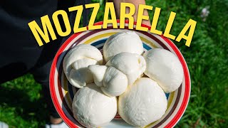 Master the Art of HOMEMADE MOZZARELLA Cheese [upl. by Leima]