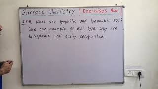 Lyophilic and lyophobic SOL why hydrophobic sol are easily coagulated class 12th surface chemistry [upl. by Shaver]