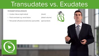 Transudates vs Exudates – Pleural Disease  Lecturio [upl. by Ahkihs113]