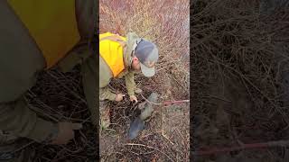 Stopped to check the beaver traps after hunting today beaver beavertrapping mountainman [upl. by Lianna169]