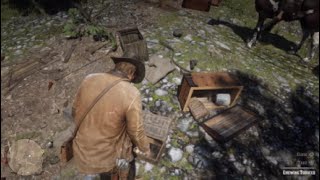 Red Dead Redemption 2 Herbalist 3 Early [upl. by Katti]