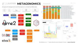 Metagenomic Data Analysis on TBioinfo Server QIIME2 [upl. by Ivetts]