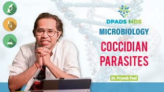 Coccidian Parasites  Parasitology  Toxoplasma Cryptosporidium  Isospora  Dr Pronob DPADS [upl. by Yrekaz]