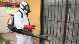 EMPRESA DE FUMIGACIONES A amp F SERVICIOS [upl. by Flemings72]