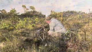 Thor Holvila collecting Pinus Sylvestris yamadori in a swedish bog [upl. by Deys]