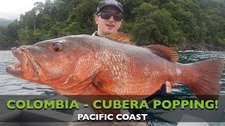 COLOMBIA  CUBERA SNAPPER  POPPING  PACIFIC [upl. by Daub555]