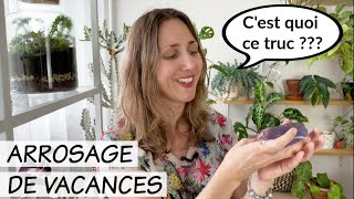 💦 ARROSAGE DE VACANCES  JAI TESTÉ LE GEL DARROSAGE  SOLUTION RAPIDE ET PRATIQUE POUR LES PLANTES [upl. by Florry]