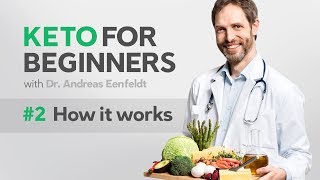 A keto diet for beginners part 2 how it works [upl. by Eibmab562]