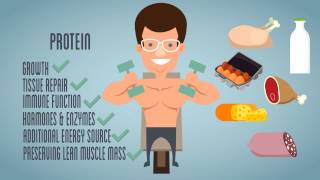 Macro Nutrients Explainer Video [upl. by Attirb]