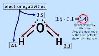 Polar Molecules Tutorial How to determine polarity in a molecule [upl. by Dole]