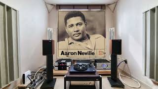 Everybody Plays The Fool  Aaron Neville [upl. by Etnasa543]