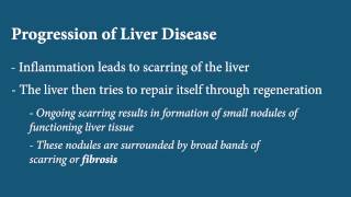 Liver Disease  Fibrosis [upl. by Barr]