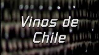 Vinos de Chile  Español  ProChile [upl. by Enimisaj]